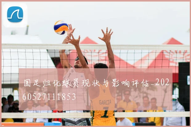 国足归化球员现状与影响评估_20260527111853